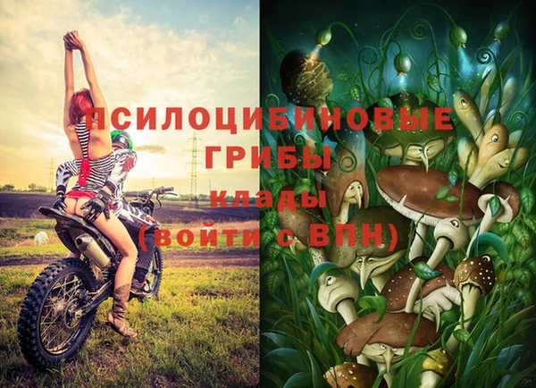мяу мяу мука Абдулино