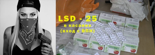 крисы Абаза