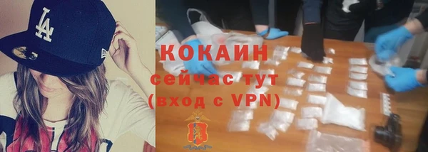 крисы Абаза