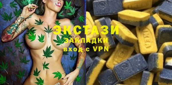 крисы Абаза