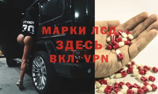 крисы Абаза