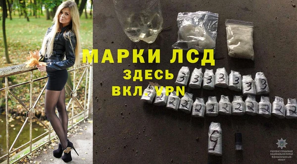 крисы Абаза