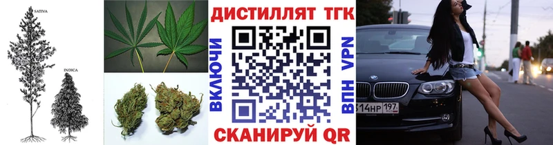 ТГК вейп с тгк Елизаветинская