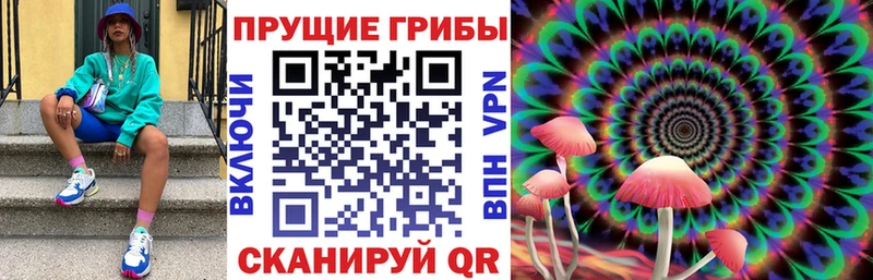 наркота  Елизаветинская  ссылка на мегу маркетплейс  Псилоцибиновые грибы мицелий 